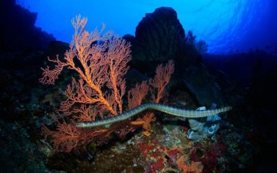 Wissend in die Ungewissheit führen