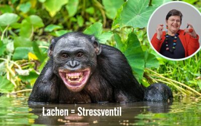 Video: Zukunft heiter denken: Humor tut Ihrer Gesundheit gut