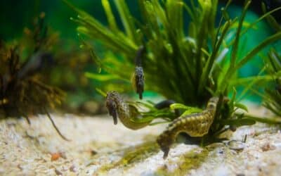 Vereinbarkeit Familie & Beruf