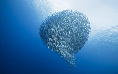 „The Power of WE“ gegen düstere Gartner-Trends