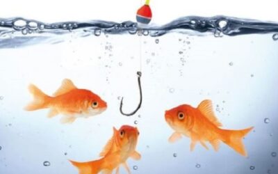 Bitte anbeißen! Talente finden & binden: die besten Strategien für Ihr Unternehmen