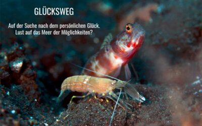 Audio: Retter-Glücksweg – Bereichernde Vielfalt nutzen