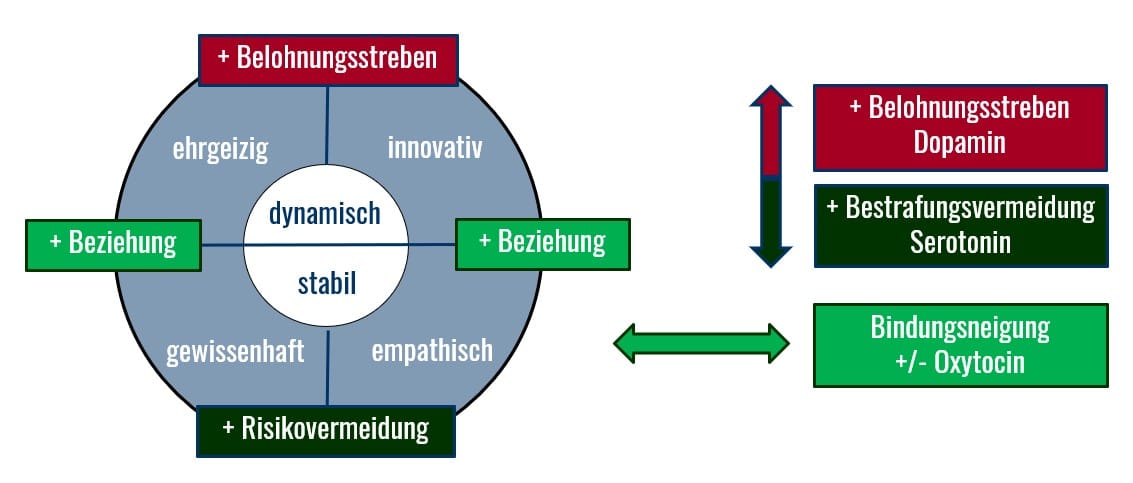 Monika-Herbstrith-Lappe-neurobiologisches-Persoenlichkeitsmodell-1-1