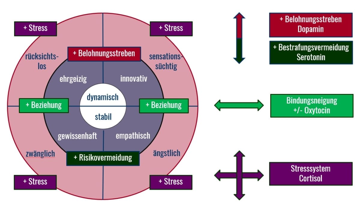 Monika-Herbstrith-Lappe-neurobiologisches-Persoenlichkeitsmodell-2