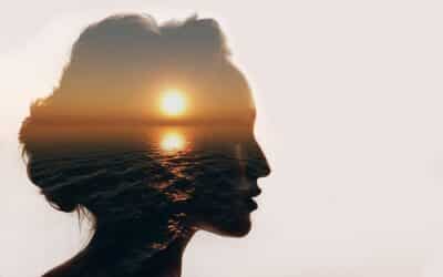 Ins Hirn geschaut: das DiSG-Persönlichkeitsmodell aus neurobiologischer Sicht