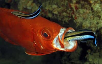 Ups und Downs? Einzigartige Menschen!