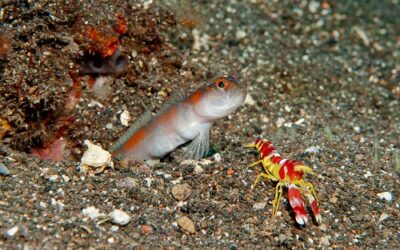 Bereichernde Vielfalt