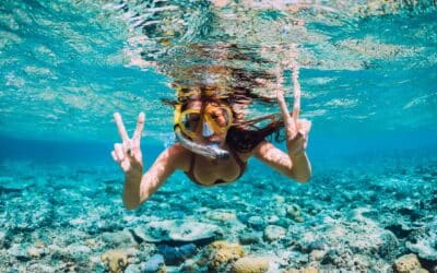 Mehr Schutz gefordert: UN-Welttag der Meere 2024