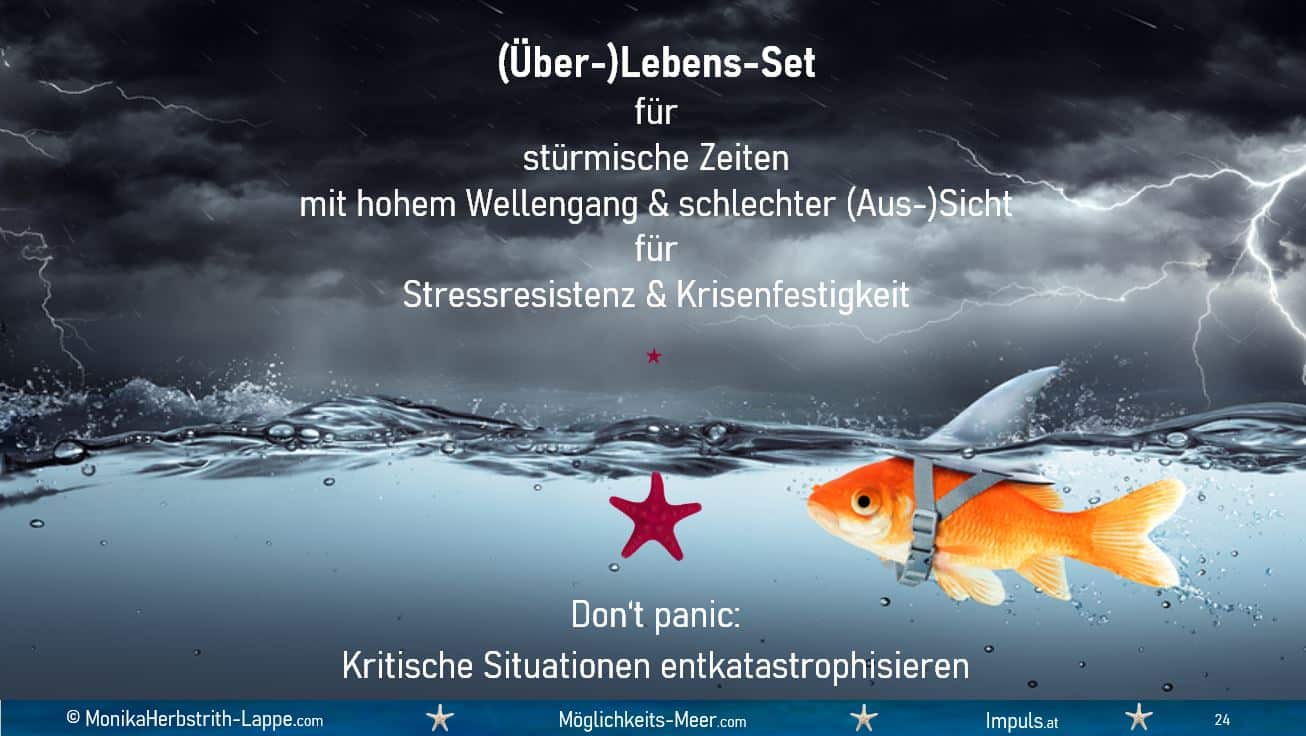 (Über-)Lebens-Set für stürmische Zeiten mit hohem Wellengang & schlechter (Aus-)Sicht für Stressresistenz & Krisenfestigkeit Don't panic: Kritische Situationen entkatastrophisieren