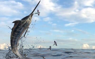 Deutschlands Firmen verlieren die Zuversicht